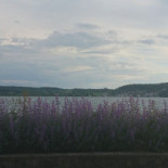 CafÉ Walker outside