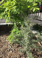 L’air De Rien outside