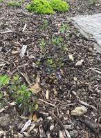 L’air De Rien outside