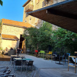 Ginko Biloba outside