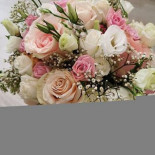 Mlýnský Domov Restaurace, Pizzerie A Penzion drink