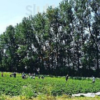 Vareborgs Bärodling outside