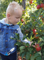 De Vollenhoofse Poort drink