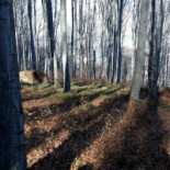 El Castillo Encantado outside