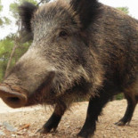 Bar Restaurante Taberna De Amparo outside