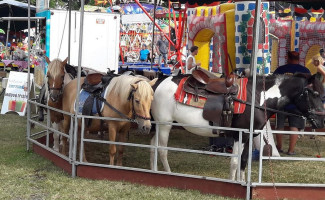 Restaurace Kd Jistebnice Outside