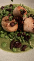 Avanti food