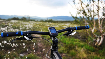 Hovden Servering drink