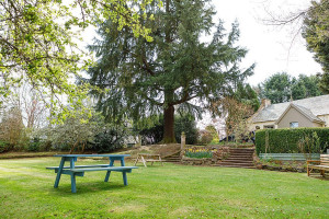 Cottage Bar Restaurant outside