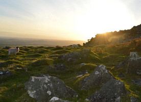 Bedford Bar Woburn Restaurant