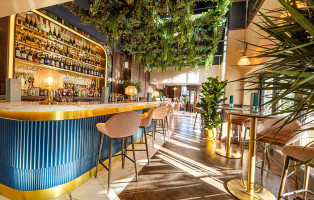 Piccolino inside