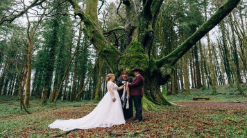 Kinnitty Castle outside