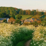 Peppo Con Cucina outside