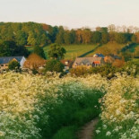Weinhaus Alter Zollberg outside