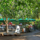 Alice Park Cafe outside