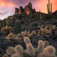 Rama Neufahrn outside