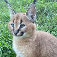 Guest-house Zum Fass