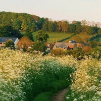 Pizzeria Buon Gusto outside