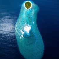 The Blues Kitchen - Camden drink