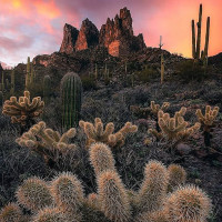 Taste Of India outside