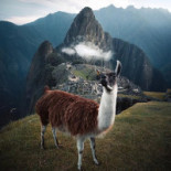 Warda Restaurant Extérieur