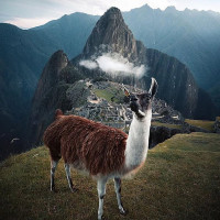 The Blues Kitchen - Camden outside