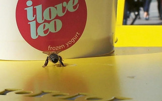 I Love Leo Schwabing drink