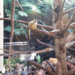 Zoo De Servion drink