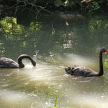 Zoo De Servion outside