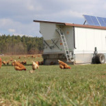 Hofladen Täufer outside