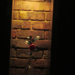 Weingut Gottwald drink