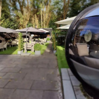 Spaghetti Tree Warlingham