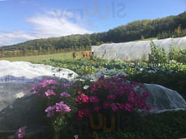 La Ferme Du Chapi food