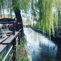 The Rising Sun Wimborne Exterior