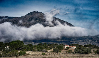 Bodega Valleyglesias