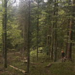 Schwarzwaldgasthof Rößle