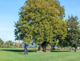 Slievenamon Golf Club And The Sand Trap Coffee House outside