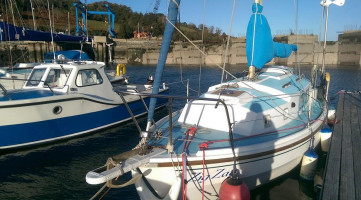 Carlingford Marina outside