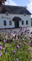 The Thatched Inn Ladysbridge outside