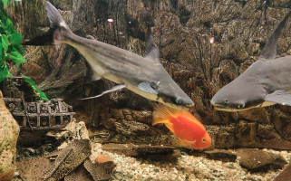 Hospudka U Jozana outside