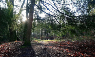 Burggolf St. Nicolaasga outside