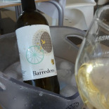 Marina Nuevo Portil. drink