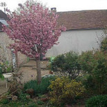 La Lucarne aux Chouettes outside