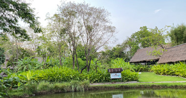 New World outside