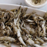 Le Martin Pêcheur food