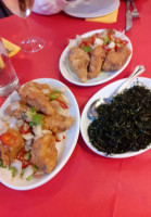 Maple Tree food