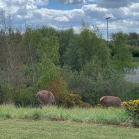 Norton Canes Services, M6 outside