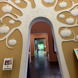 Alexander's Todiblick