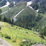 Stadtcafe Inh. Maria Heissenberger outside