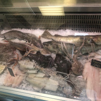 South Gosforth Fisheries drink